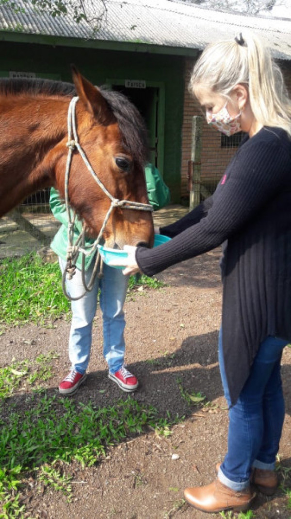 Equoterapia: Mais uma área de estágio para alunos da Fisioterapia